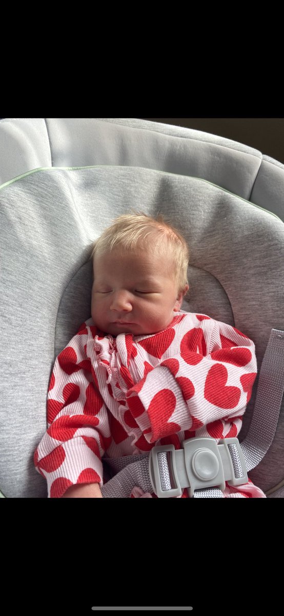 KATELINM__'s tweet photo. My little golden baby ❤️ https://t.co/T3hOK0FX4G