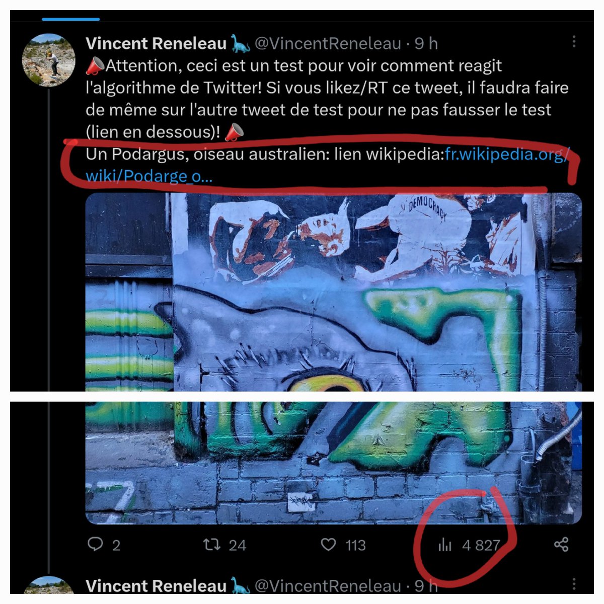 Vincent Reneleau 🦕 tweet media