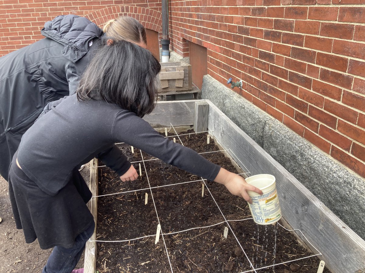 It's planting week #1! This week grades 1 - 4 are  planting seeds for salad veggies! Ms. Ockene and Mr. Hintz coordinate the moving parts,  our PE team is leading all 16 classes in planting, and parent volunteers Tim and Adi help make it happen. Next stop, watering...