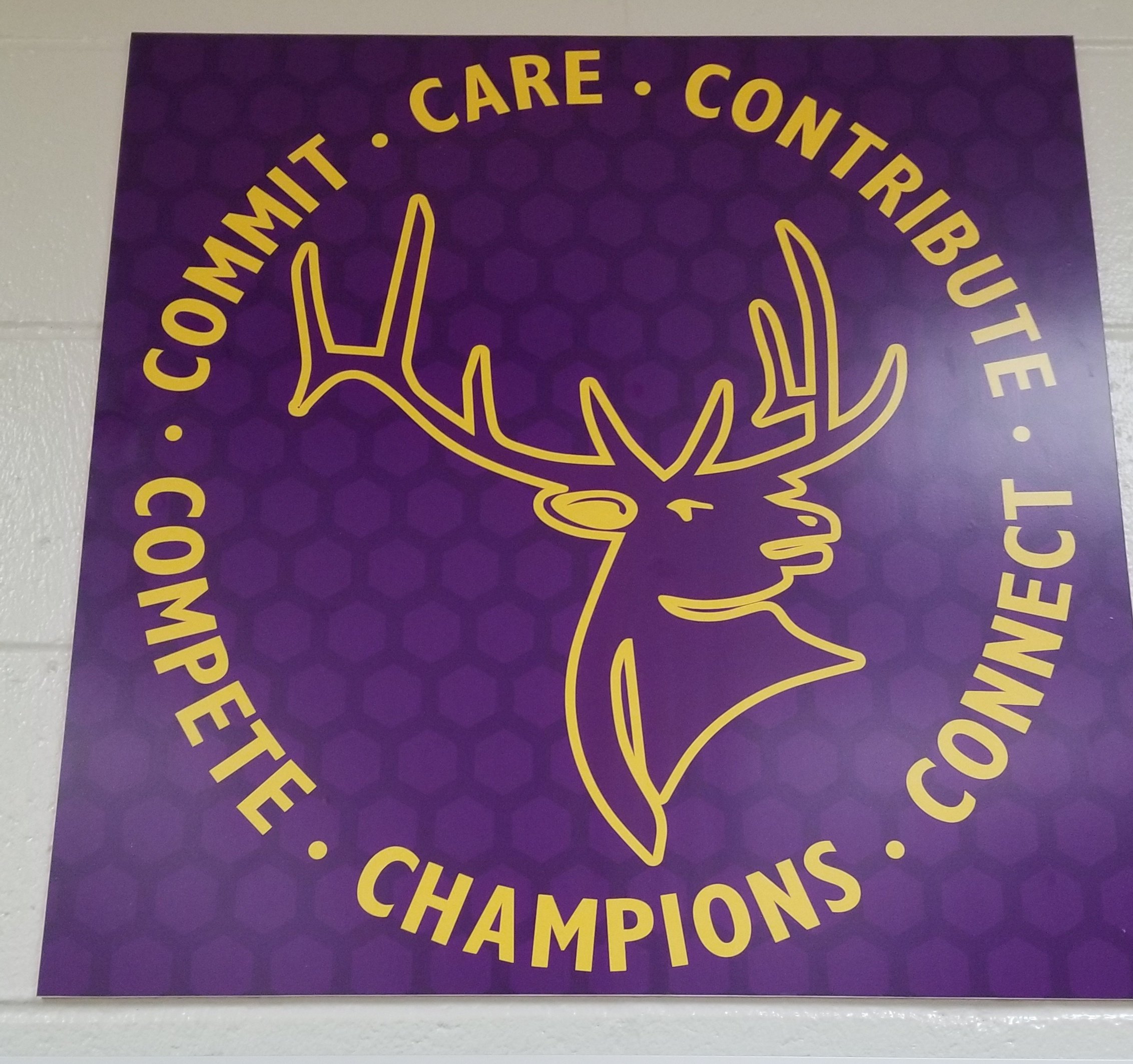 Elkhorn Baseball (EAHS_Baseball) / Twitter