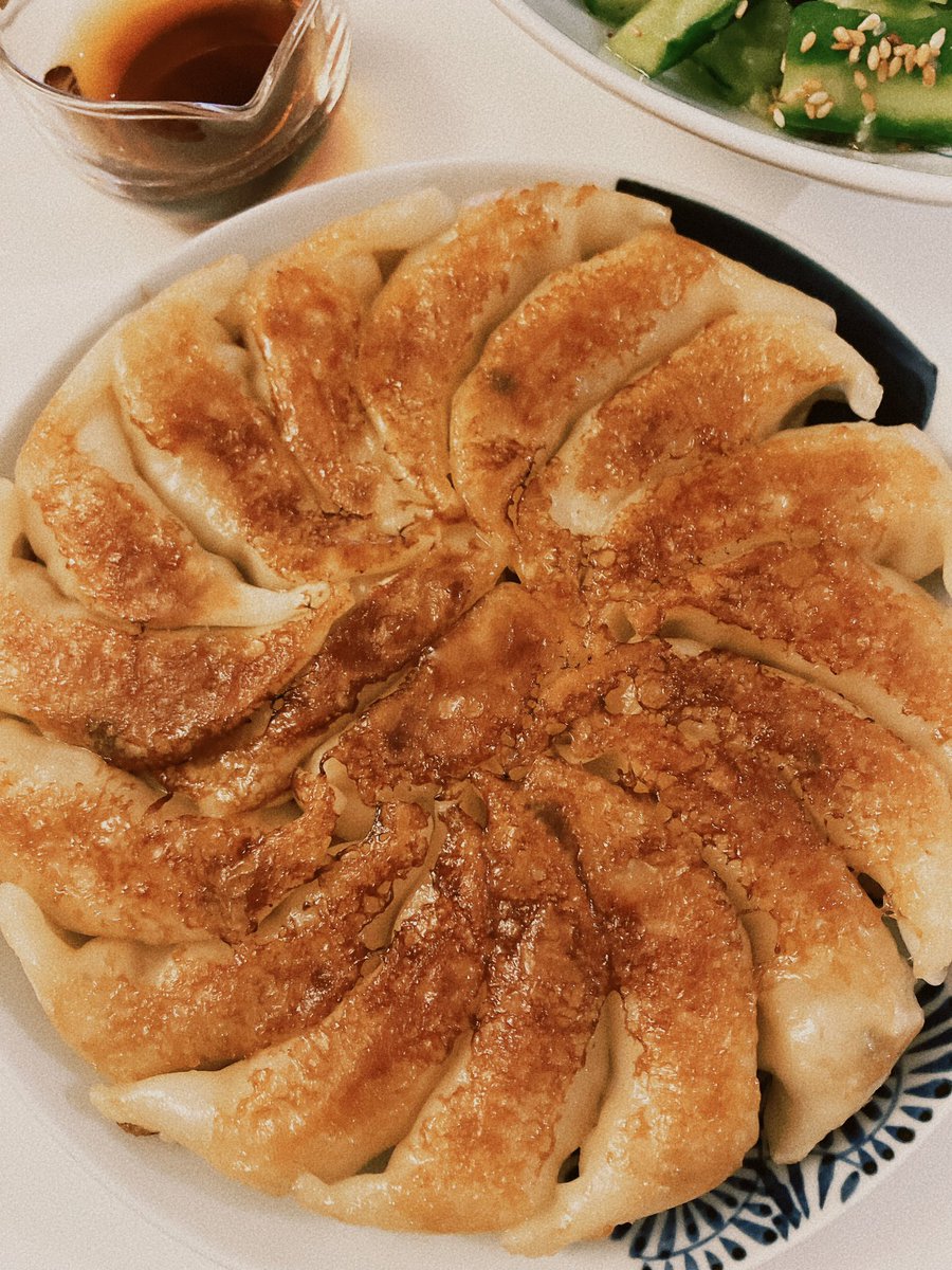 Yaki Gyoza (Fried Dumplings)!!! Meshiagare!!!