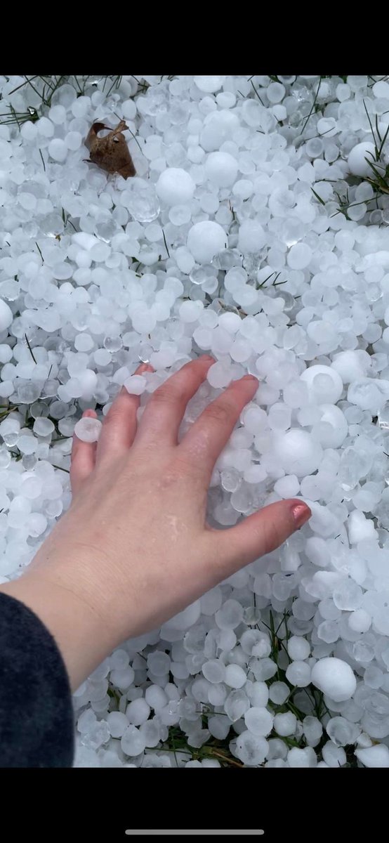 glessens's tweet photo. Large hail in #Middleville #BarryCo Tuesday evening, courtesy Nadine Afton.
#wmiwx #miwx #WestMichigan #13OYS @wzzm13 @13OYSwx @NWSGrandRapids https://t.co/wZWupuaMg5