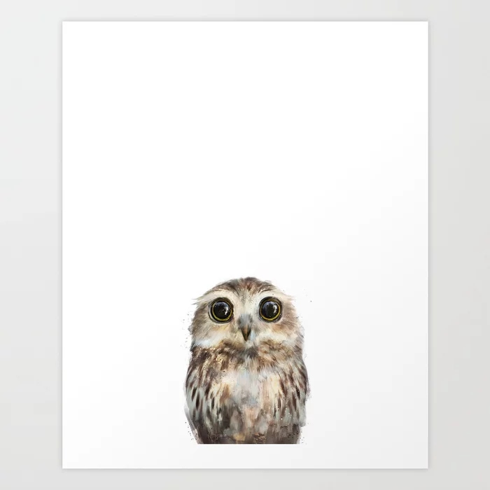 WeTheCurators2's tweet photo. Little Owl by Amy Hamilton  #art #design #wallart #homedecor #society6 https://t.co/p1d5hSjhDv https://t.co/wKKbg2G8eN