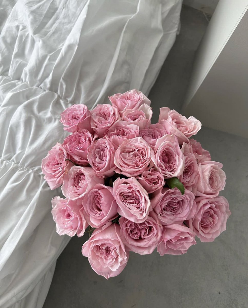 Lvspink0's tweet photo. 𝕣𝕠𝕤𝕖𝕤 https://t.co/zq9vUes3kB