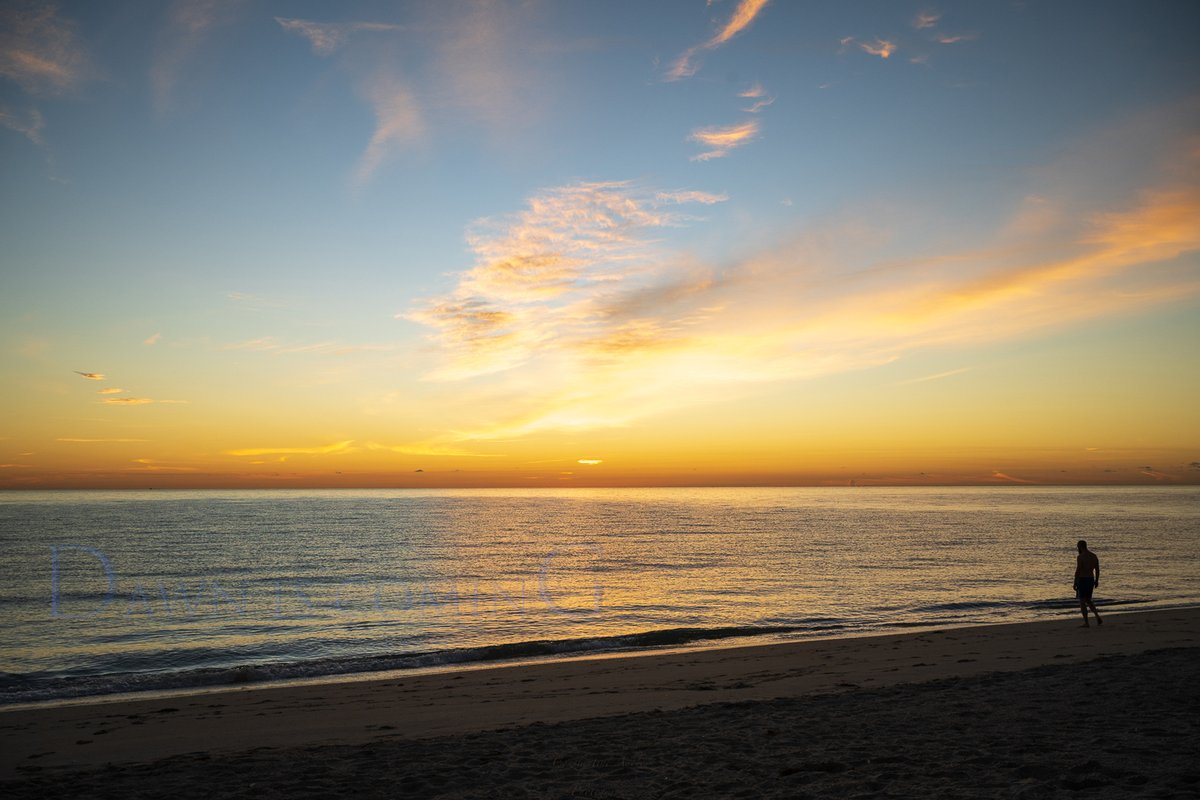 busyshoots's tweet photo. Dawn is coming guys 🌅
#Sunrise #DawnisComing #DOGE #Dogecoin #DogeTwitter #Dogearmy #SunrisePhotography https://t.co/b9KXEjYYfP