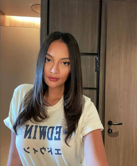 Artis kembar-kembaran.