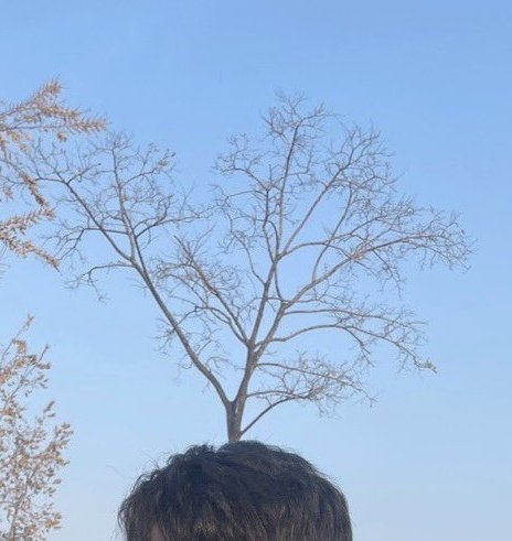 LI0IJ_0's tweet photo. 아 배으님 오늘 식목일이라서 나무 심은거구나...
역시 짱지우... https://t.co/cdTox8amHx