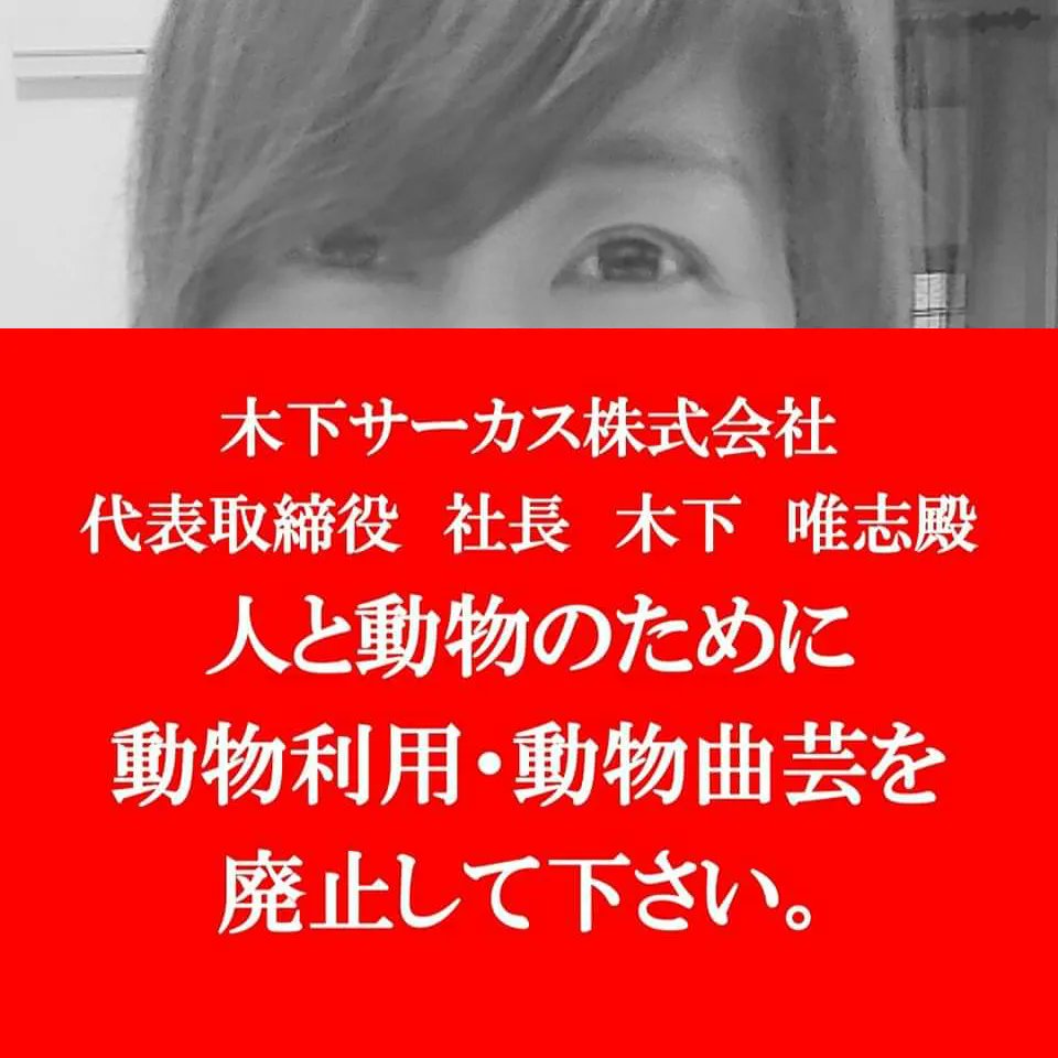 Tyke_Forever's tweet photo. メッセージボードアクション👍✨
年中無休絶賛活動中にて年中無休絶賛募集中です‼️木下大サーカスにはどうぶつに優しい倫理的に更に優れた会社に産まれ変わって欲しい‼️
#木下大サーカス #kinoshitacircus
#120周年 #札幌公演 #新潟公演
#ホワイトライオン #ハタリ https://t.co/HXWXWnxerL