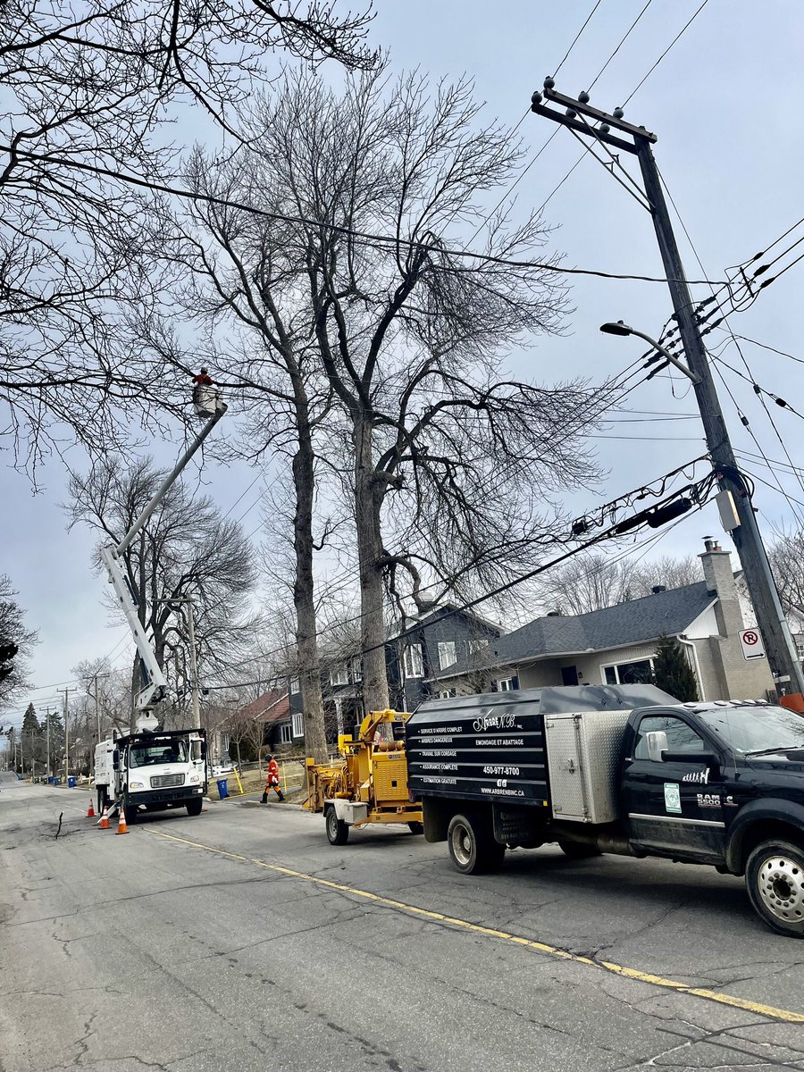 jonas82936477's tweet image. Depuis 3 semaines c’est go go go #arborist #treework #lovemyjob