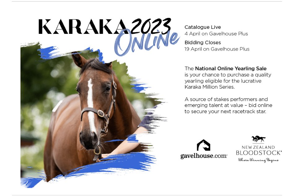 New Zealand Bloodstock on Twitter "RT anz_news ⭐️ NZB National