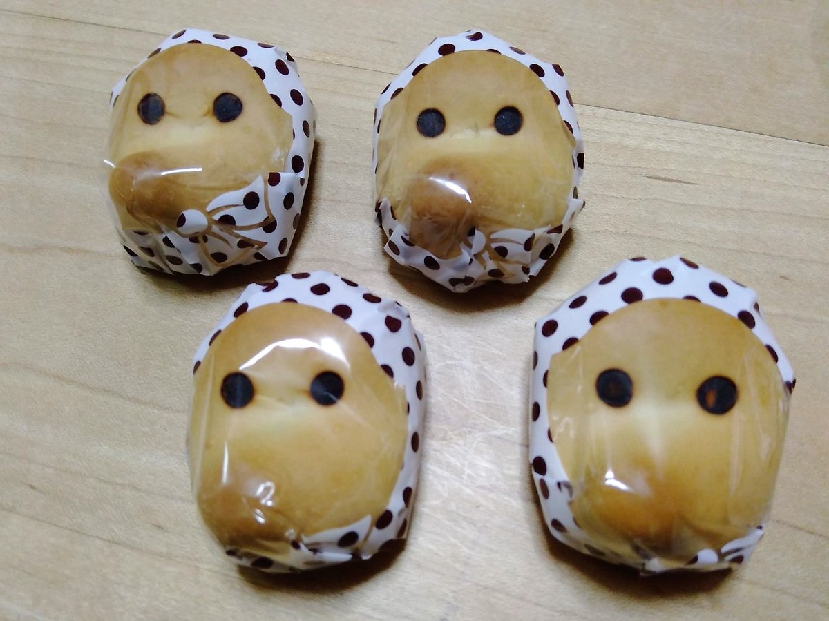 tedukurigumi's tweet photo. 島���みやげの定番、どじょうすくいまんじゅう。
いろいろな味が出てますね。

ミルクチョコあんを初めて食べたらおいしかったです！
子どもにも喜ばれそう。
おまんじゅうの中に、白バラ牛乳入りチョコあんとチョコクリームが入っています。

#島根
#どじょうすくいまんじゅう
#島根土産 https://t.co/ANppQmNkSr