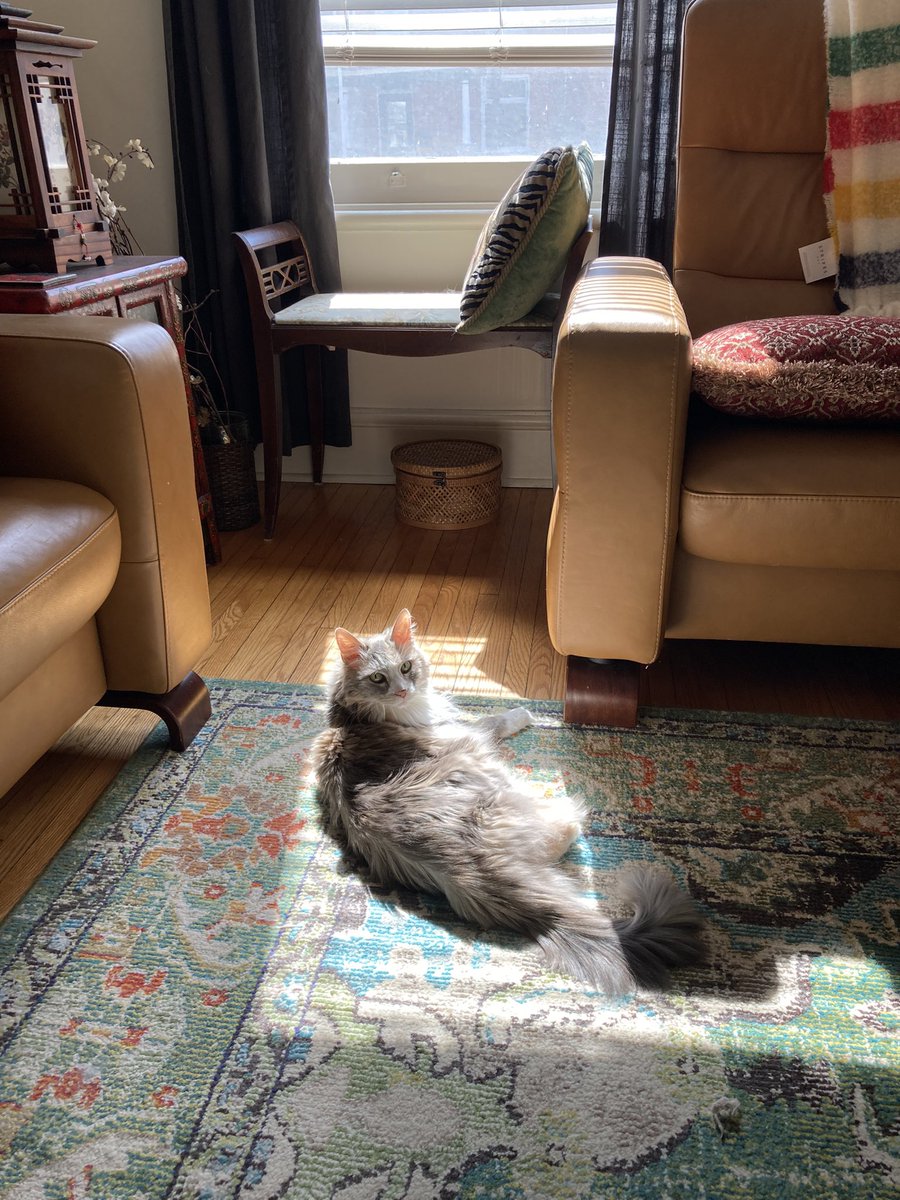 Bridget supports these brief moments of spring sunshine.
