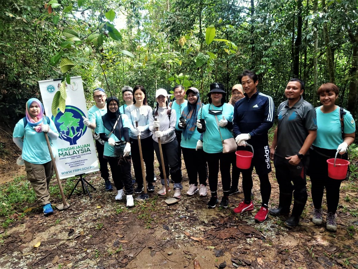 FRIMKepong's tweet photo. 47 staf #PigeonMalaysia sertai #CSR tanam pokok di @FRIMKepong pd 11/3 sempena #HariHutanAntarabangsa + sokong Kempen Penanaman @100JutaPokok dgn tanam 40 pokok 

👉https://t.co/MNvABCoqYb

#FRIMTanamPokok #TreePlantingFRIM #PokokKitaKehidupanKita #OurTreesOurLife #100JutaPokok https://t.co/sFSIJQgbhI