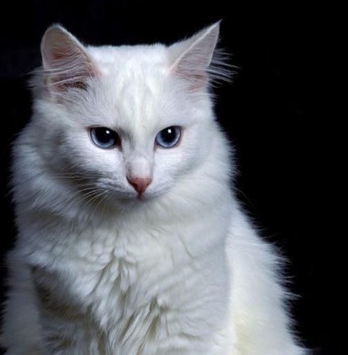 ͏͏͏͏͏͏

͏͏͏͏͏͏ ͏͏͏͏͏͏
͏͏͏͏͏͏

Twenty-fourth year of my life. Keep glowing, babe. 🍸
⠀ ⠀ 
͏͏͏͏͏͏

͏͏͏͏͏͏ ͏͏͏͏͏͏
͏͏͏͏͏͏
͏͏͏͏͏͏