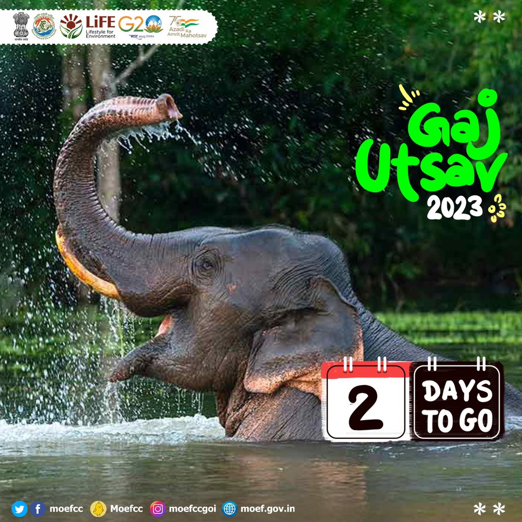 2 Days to go! 

#GajUtsav #GajUtsav2023 #KazirangaNationalPark #MissionLiFE