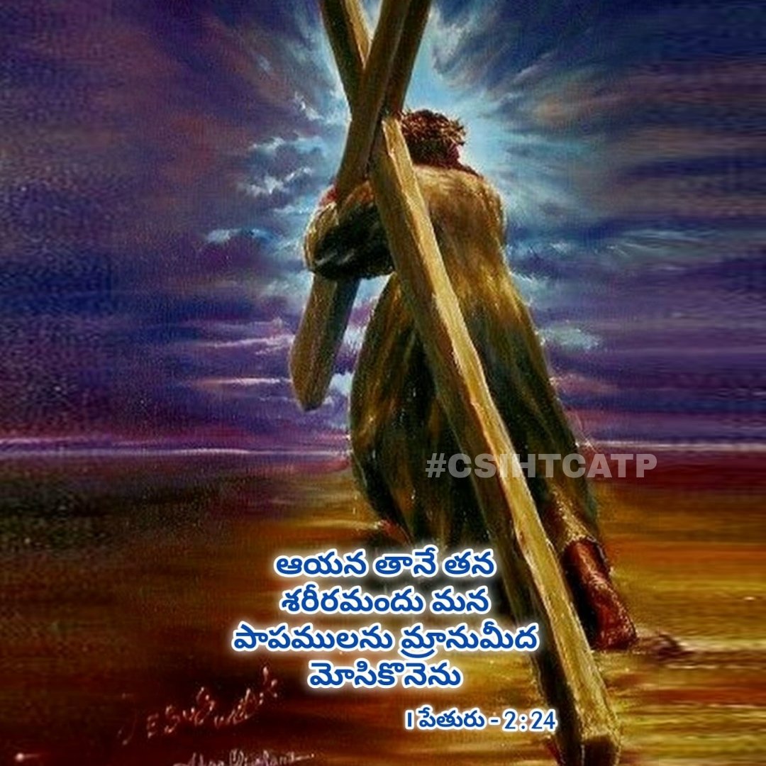 csihtmcatp's tweet photo. ఆయన తానే తన శరీరమందు మన పాపములను మ్రానుమీద మోసి కొనెను.
- 1 పేతురు 2:24
Who his own self bare our sins in his own body on the tree.
- 1 Peter 2:24
#Csihtcatp #Csi #Csihtcmatp #wednesdayblessings #morning #blessing #Atp #Anantapur #Anantapuramu #lord #wednesday https://t.co/rwe3oUX3dP