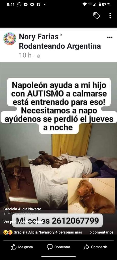 MaraRos37411865's tweet photo. https://t.co/SL8v1M1xiQ