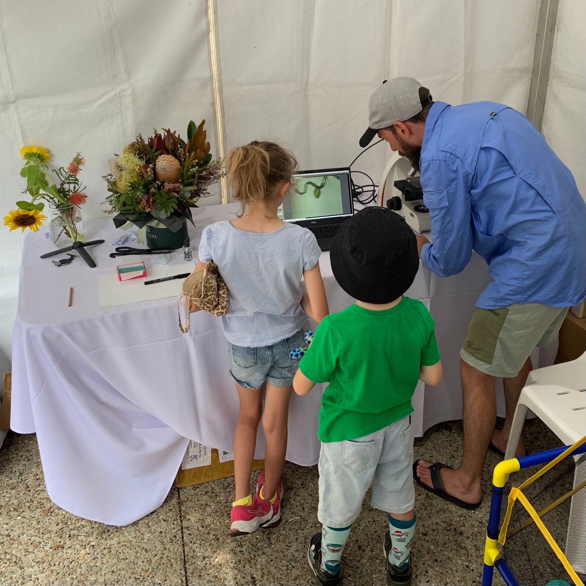 The power of pollen as a tool for studying the natural world and its history was on display at the @WSFBrisbane in March, thanks to members of CABAH’s pollen research and #citizenscience project @VegeMap. epicaustralia.org.au/vegemap-at-wsf…