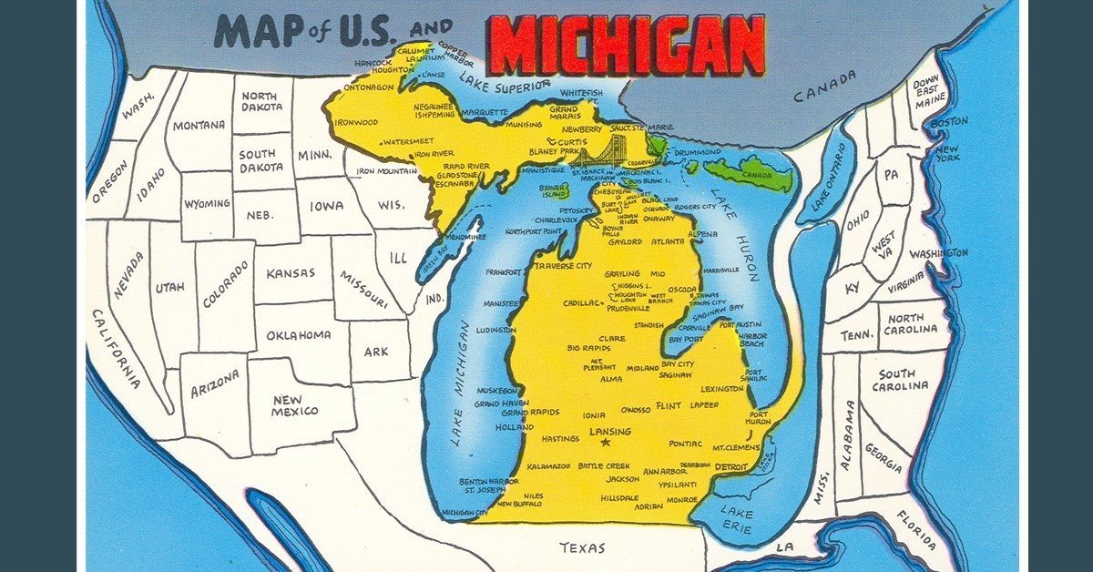 MisterLobo's tweet image. ATTENTION  CINSOMNIACS! Mr. Lobo's houseplant Miss Mittens is so popular in Michigan-they nicknamed the state after her. MICHIGAN FANS-shout out here! We've some brewing news about Cinema Insomnia coming  to several public television stations... #Michigan #mrlobo #cinemainsomnia