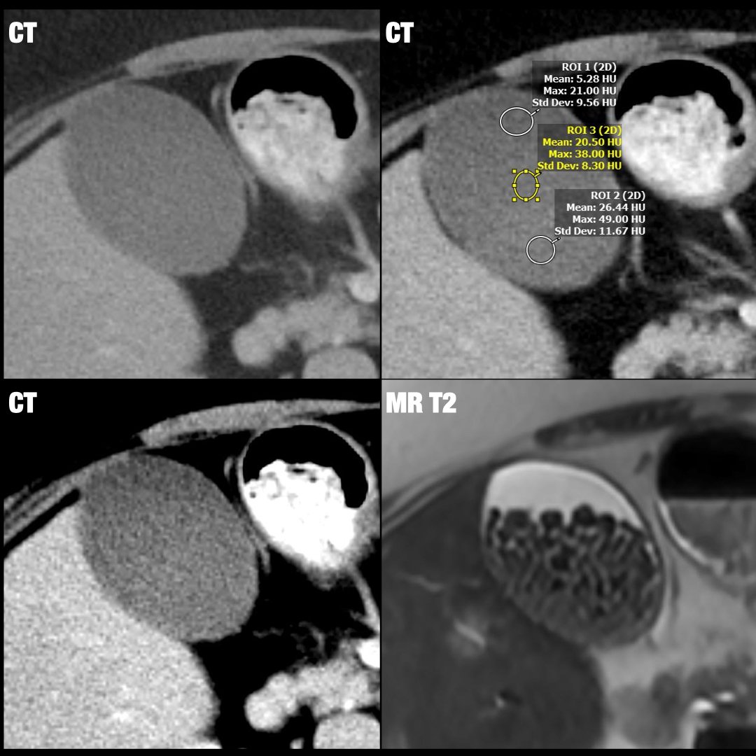 Daniel Souza tweet media