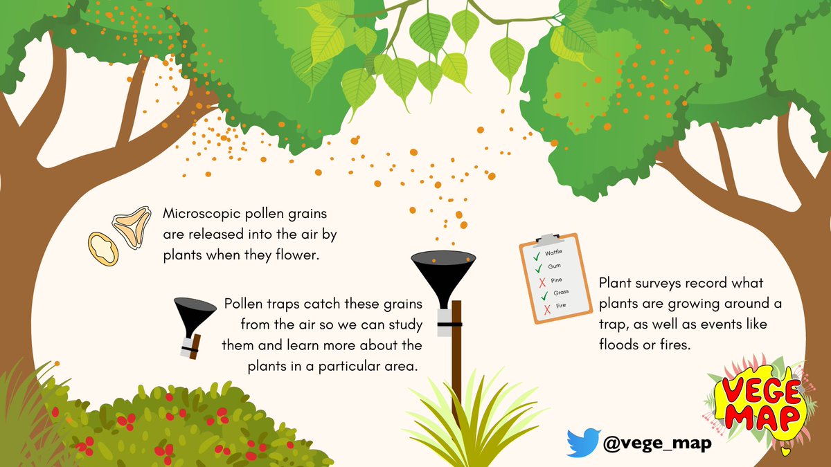 <a href="/vege_map/">VegeMap</a> is using pollen to learn more about our environment. The team is setting pollen traps across the country &amp; will work with the public to conduct vegetation surveys to help us develop a record of vegetation across Australia. 
<a href="/TERN_Aus/">TERN</a>