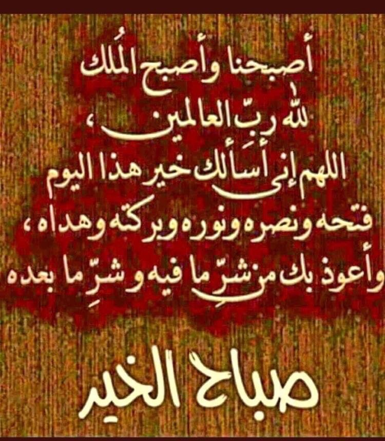 Khalilalshary81's tweet photo. - اﻟلهَم اعتِق رقاِبنا مِن اﻟنِار
- اﻟلهَم انِك عفِو كرَيم تحِب اﻟعفِو فاعفُ عَنا  
- اﻟلهَم صِل وَ سلِم علىَ محِمد وَ ال محِمد
- استغِفر اﻟله وَ اتوبَ اﻟيه
- سبحاِن اﻟله وَ بحمَده سبحاِن اﻟله اﻟعِظيم
صباح الخير والسرور 
#مكة_المكرمة  #رمضان https://t.co/utWetSnte2