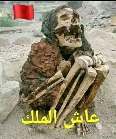Samir94806800's tweet photo. @OtmaneAli4 @adil_jbari @ahafsidz و يجي العياشي البغل يقولي راك تحت جناح فرنسا https://t.co/Q33S3ngGlC