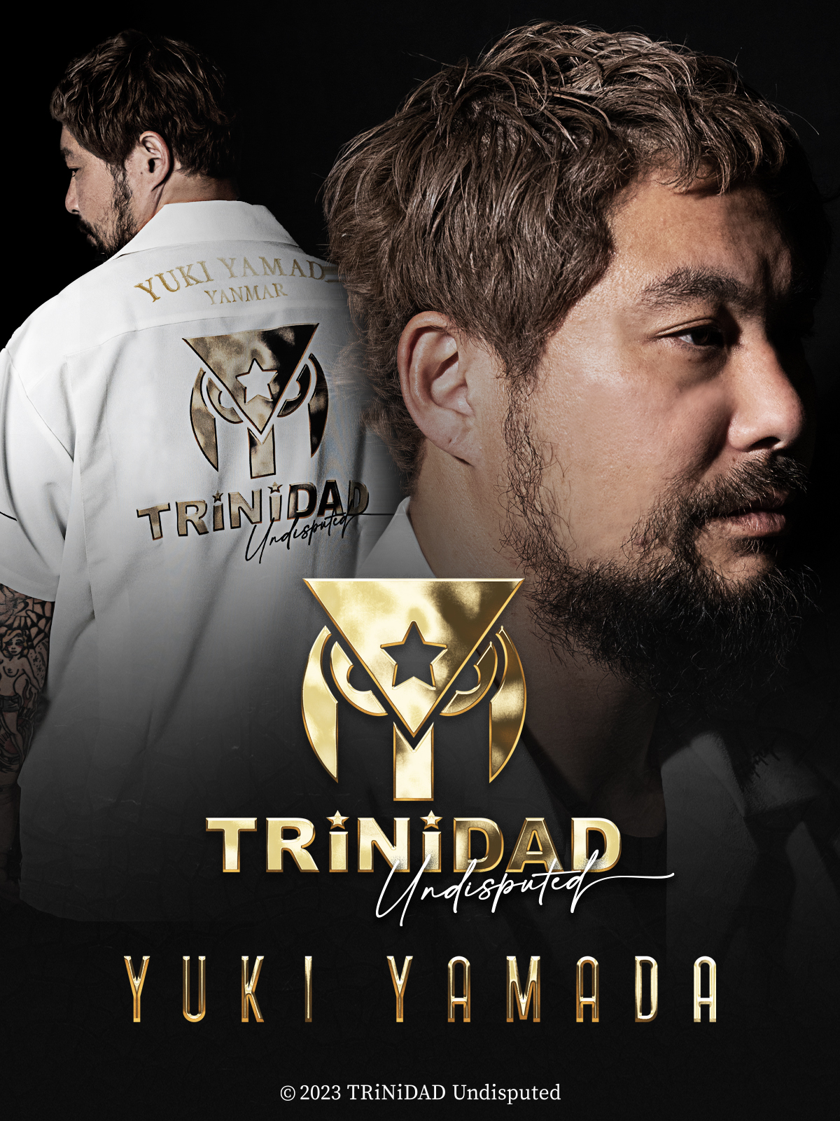 【限定】山田勇樹/フェニカ/PHOENicA/ダーツ 限定】山田勇樹/フェニカ/PHOENicA/ダーツ プレイヤーグッズ