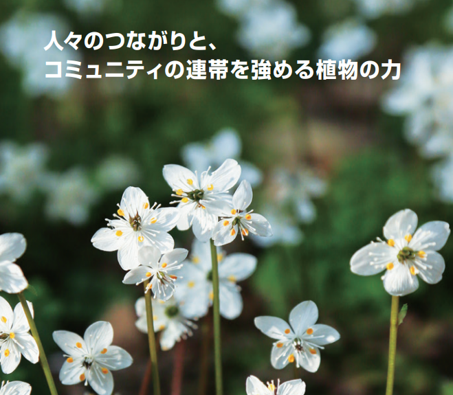 Hightech_MLs's tweet image. 植物学者、牧野富太郎博士をモデルにしたドラマが始まりました。

弊社情報誌 #LabSCOPE では高知市にある #牧野植物園 を2016年に取材させていただいております。

▽記事はこちらから
labscope.net/invitation/25/
#バイカオウレン #牧野富太郎