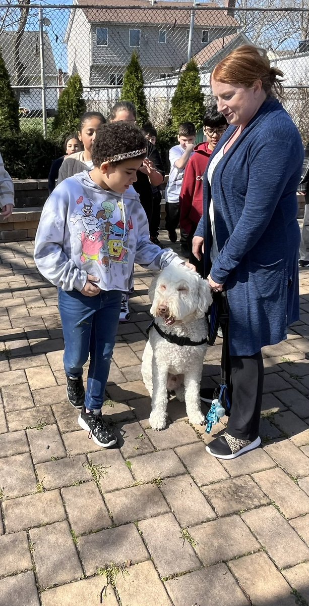 ps50si's tweet image. Today our students met “Pal,” an autism service dog who provides support to his buddy Jake when he feels anxious or upset. It was so nice for Pal to visit #ps50 during #autismawarenessmonth!