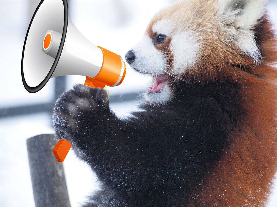 <a href="/Redistrict/">Dave Wasserman</a> KEEP GOING DAVE