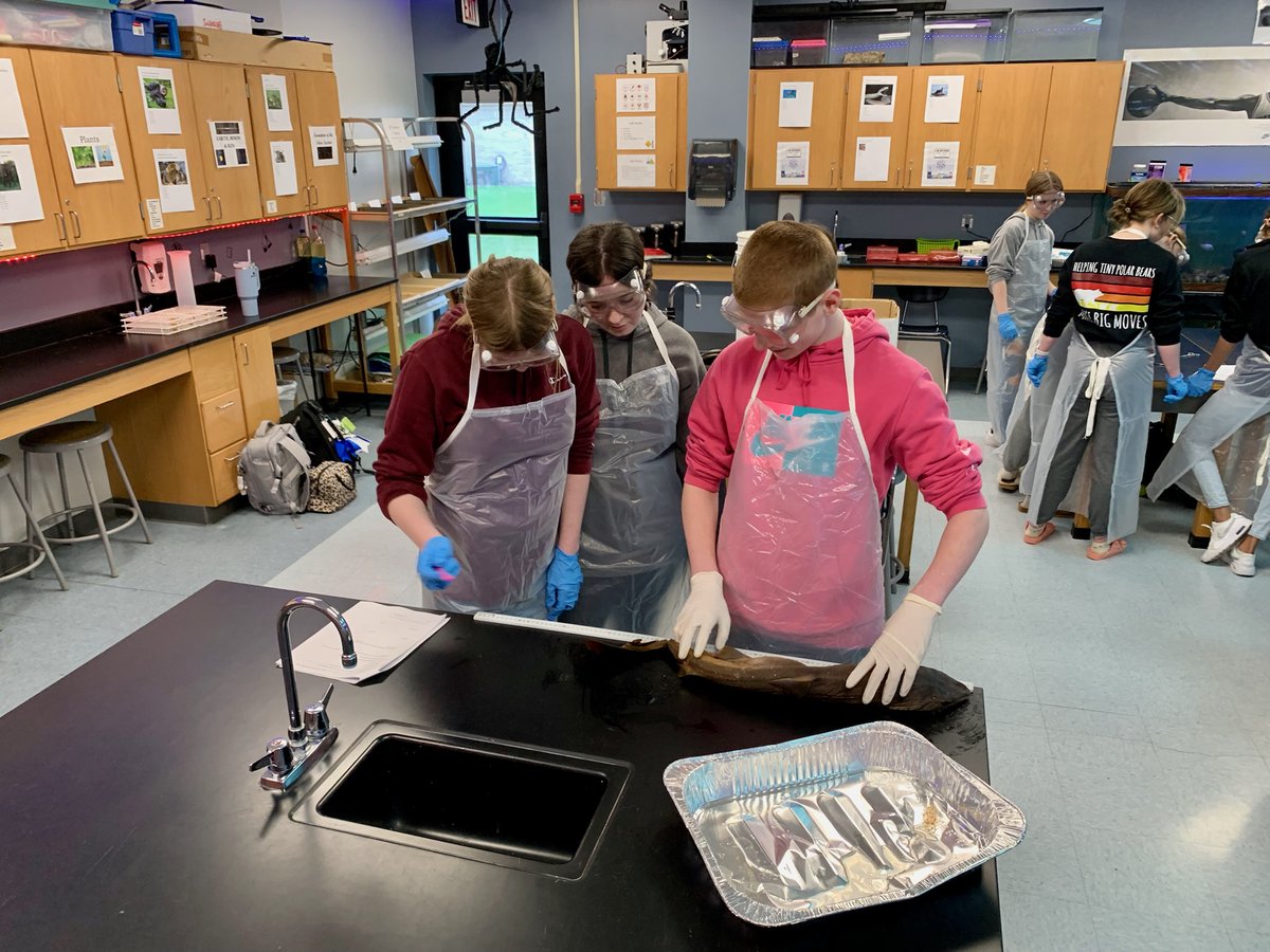 EhmsShaw's tweet photo. Hark a shark or three! Fun day watching these unsure 8th graders blossom into shark surgeons! #handson #ehroyalpride #itsmelledbad #itwasawesome https://t.co/VxgwXIOhbq