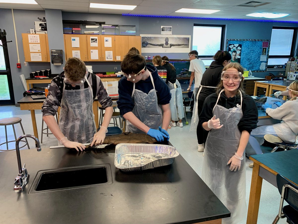 EhmsShaw's tweet photo. Hark a shark or three! Fun day watching these unsure 8th graders blossom into shark surgeons! #handson #ehroyalpride #itsmelledbad #itwasawesome https://t.co/VxgwXIOhbq