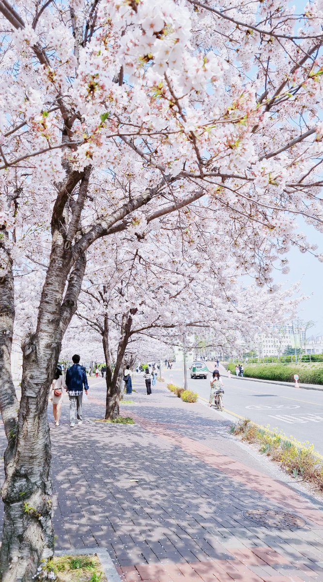 あっという間に4月🌸
また少しずつYouTubeでスピーキング練習も
始めていこうと思います💓💓
拙い韓国語ですがお付き合いください🥺

youtu.be/d6g6YrmRJ8k