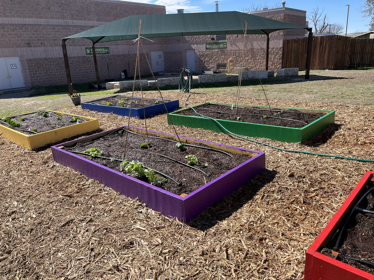 MaverickSAISD's tweet photo. Our Dragon’s Den is 4 years old! 💚Now we have a beautiful cover and garden beds. #MESinspired @SAISD https://t.co/DCvHuQ1ANF
