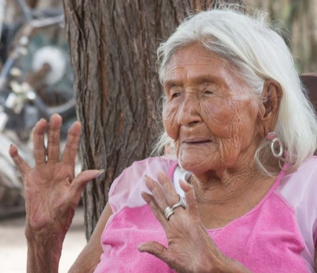 Murió Rosa Grillo, última sobreviviente de la Masacre de Napalpí. Se calcula tenía entre 107 y 114 años. El historiador qom Juan Chico la entrevistó hace unos años y ese testimonio fue parte del juicio por la verdad (2022).
Memoria, verdad y justicia para los pueblos qom y moqoit