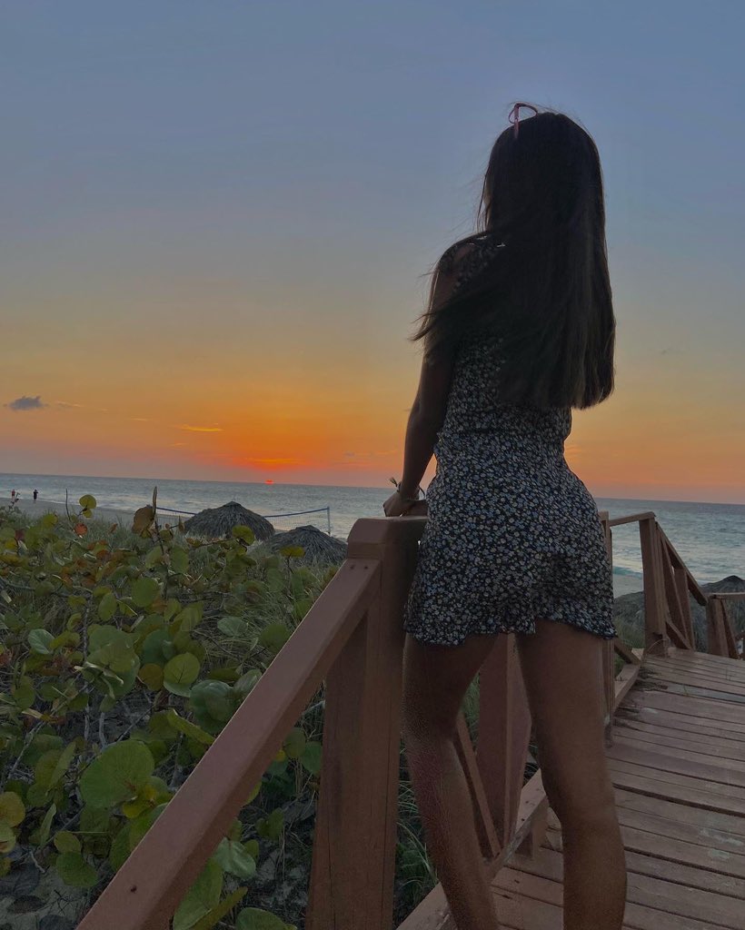 ᥫ᭡ tweet media