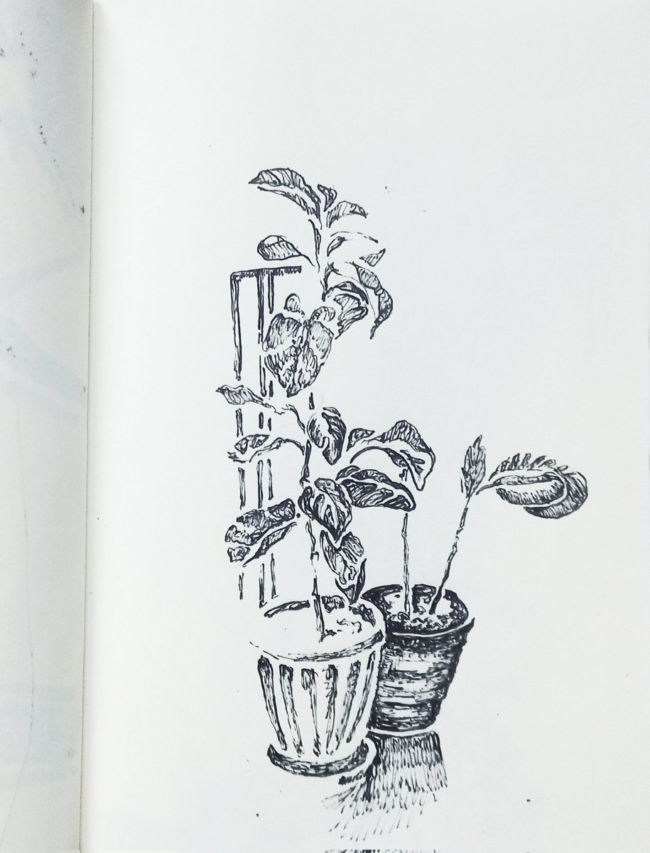 Daily sketch of favorite thing

#sketch #sketchbook #Thailand #mylittlegarden