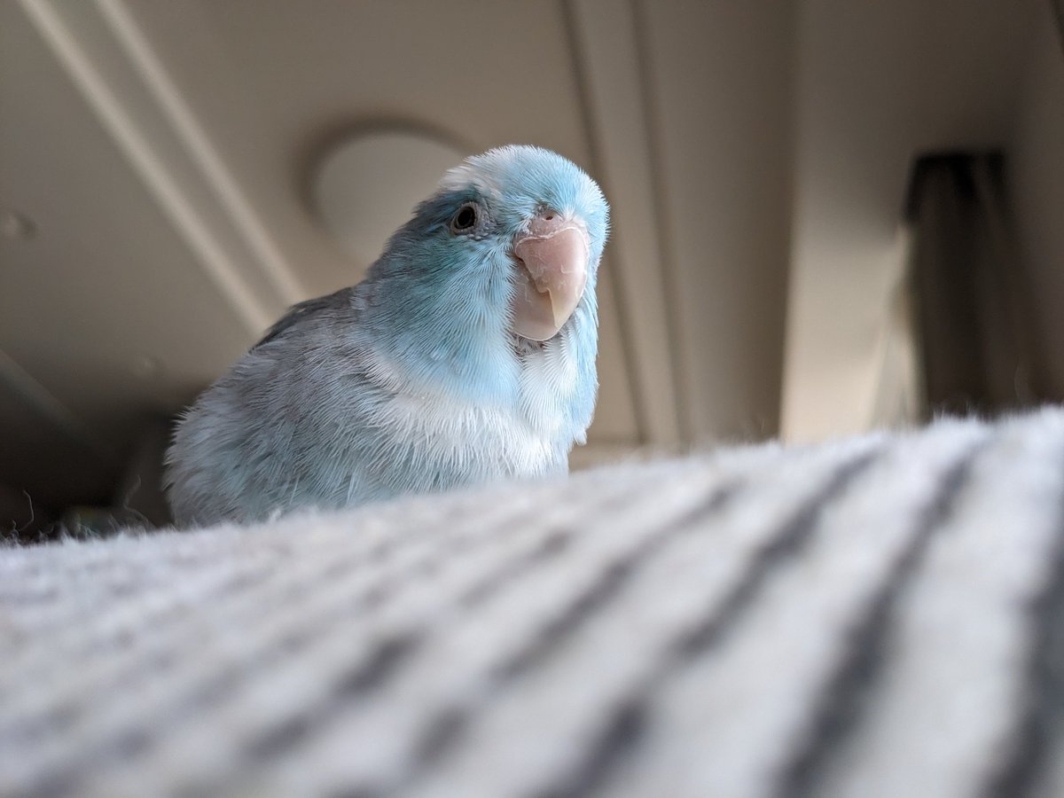 ちゃんと元気にしてますよ