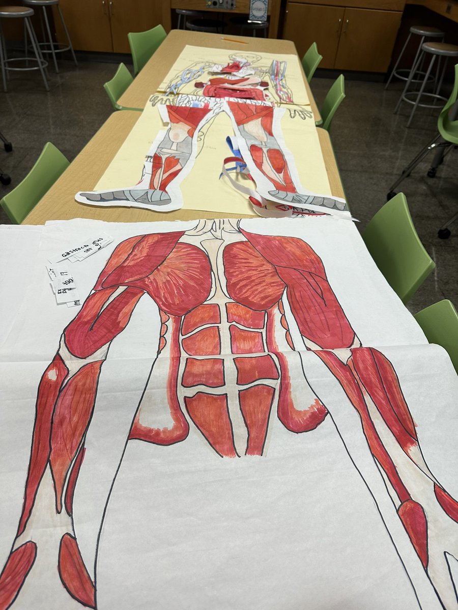 Honors Biology Human Body Mini PBL. Students created their body systems model. Collaboration and analogy in progress as students try to piece together the human body. Can’t wait for the finish product. <a href="/newtechodessa/">Georɢe H.W. Bυѕн New Tecн Odeѕѕα</a> #NTOPBL