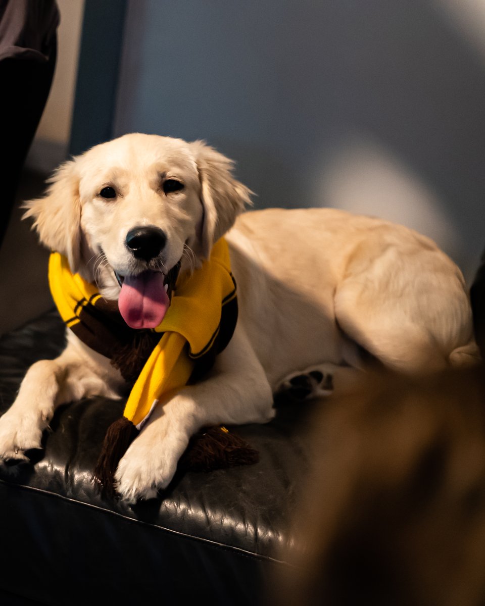 A surprise visit from the coach for Stratts 🥰