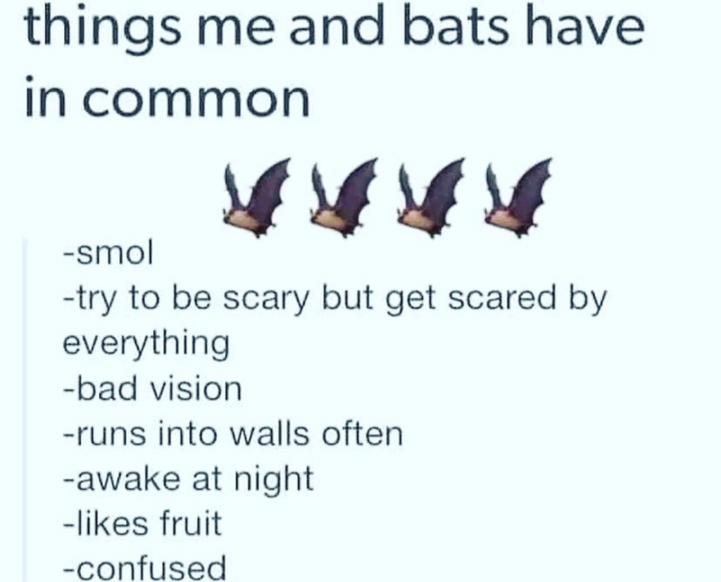 toofastclothing's tweet photo. Y’all Relate? I sure do 🦇🦇🦇
#TooFastLifestyle #GothMeme #BatMeme https://t.co/rcl5E5GW5V