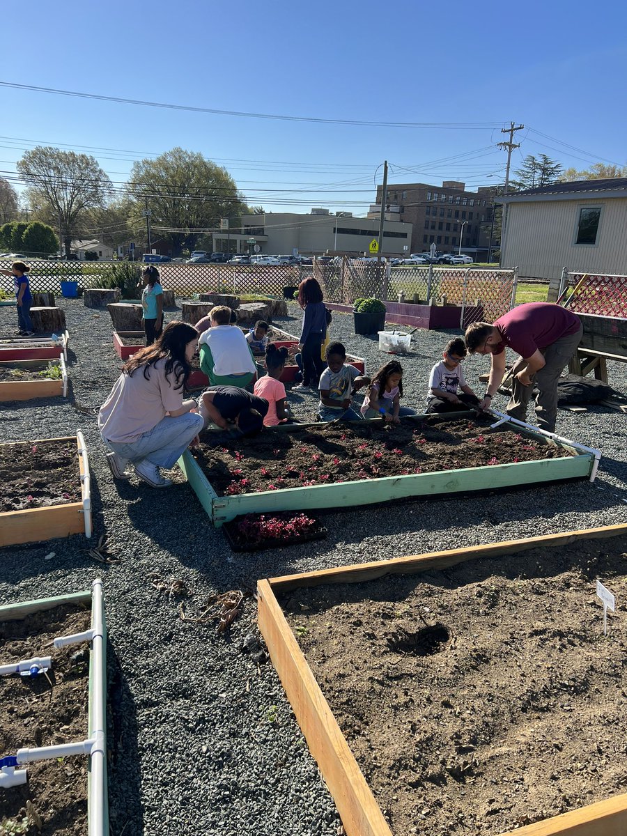 This is what #gardenbasedlearning looked like today @eaepanthers! #ElonEd #enviroed #literacyoutside #engagedlearning