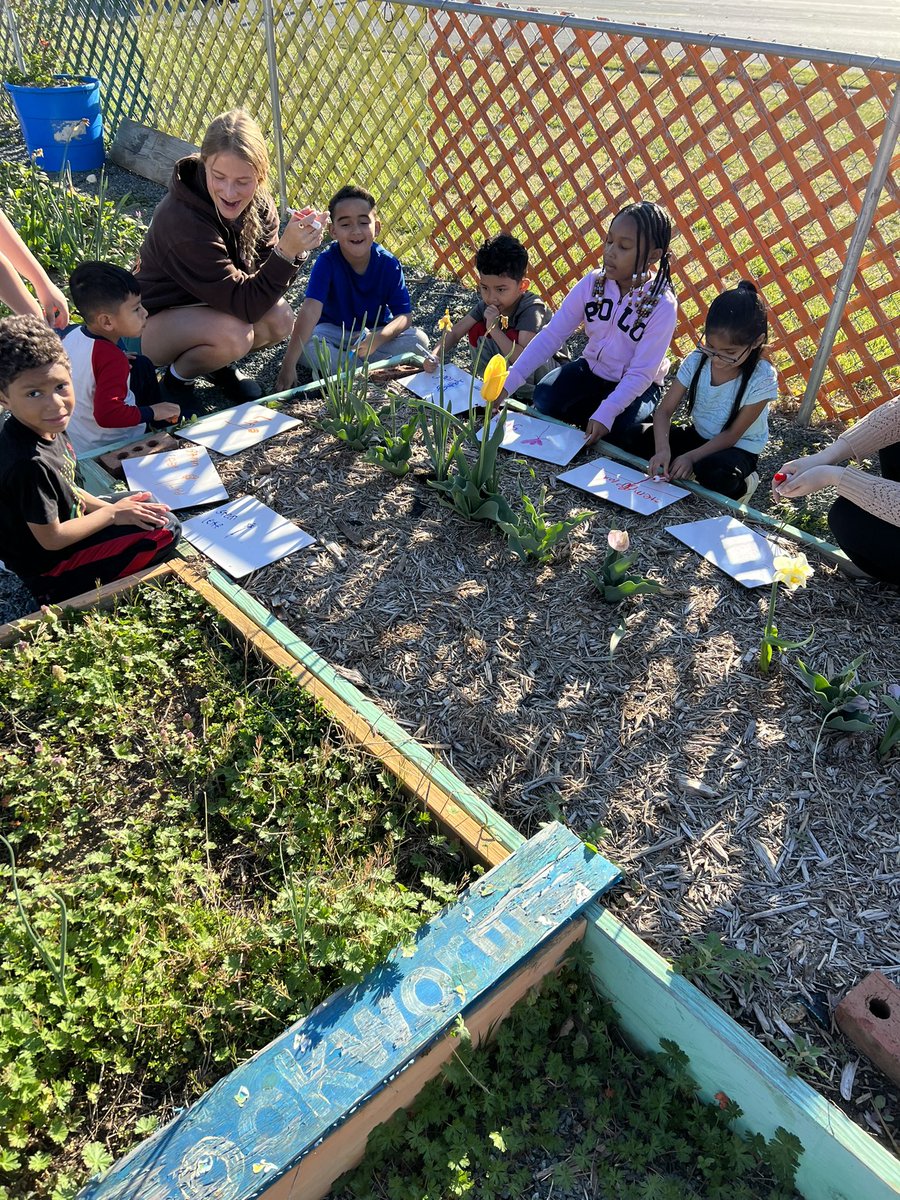 scomorrison's tweet photo. This is what #gardenbasedlearning looked like today @eaepanthers! #ElonEd #enviroed #literacyoutside #engagedlearning https://t.co/actE18eodm