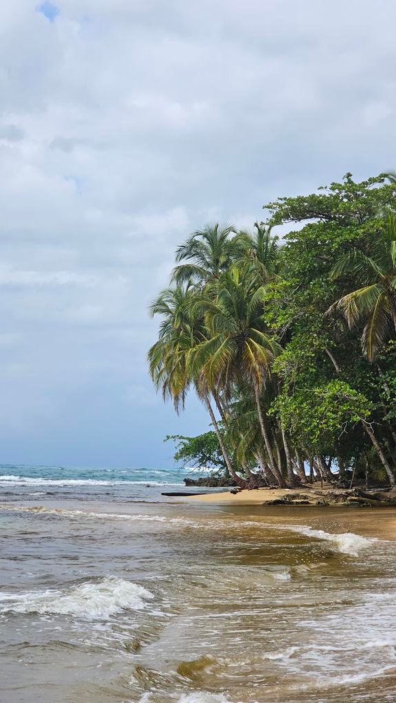 Caribbean coast - Costa Rica