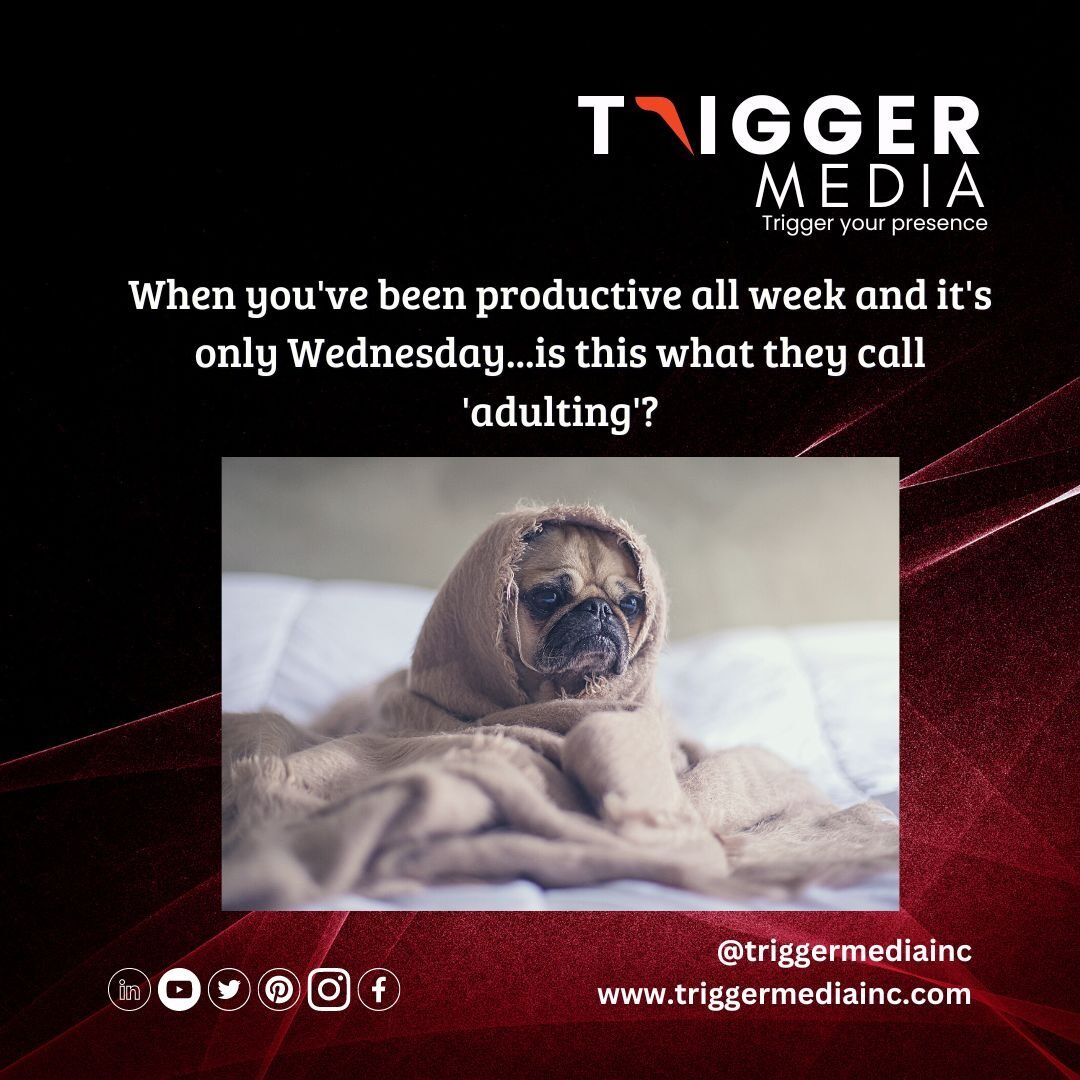 TriggerMediaInc's tweet photo. Rise and grind! Wishing you all a happy and productive mid-week. Let's crush those goals together.
#TriggerMedia #MidWeekMotivation #Productivity #HappyWednesday #Motivation #MidWeekInspiration #PositiveVibes #HumpDay #Inspiration #MidWeekGoals #Success #digitalmarketing #seo https://t.co/wYBxltP8Al