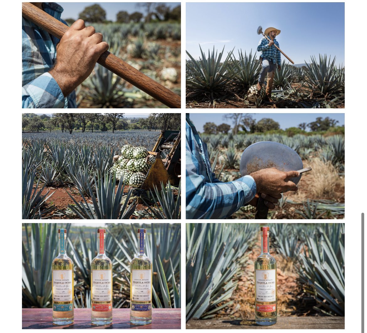 Gracias <a href="/TequilaOchoMx/">Tequila Ocho México</a>  #jalisco #tequila #México #distillate