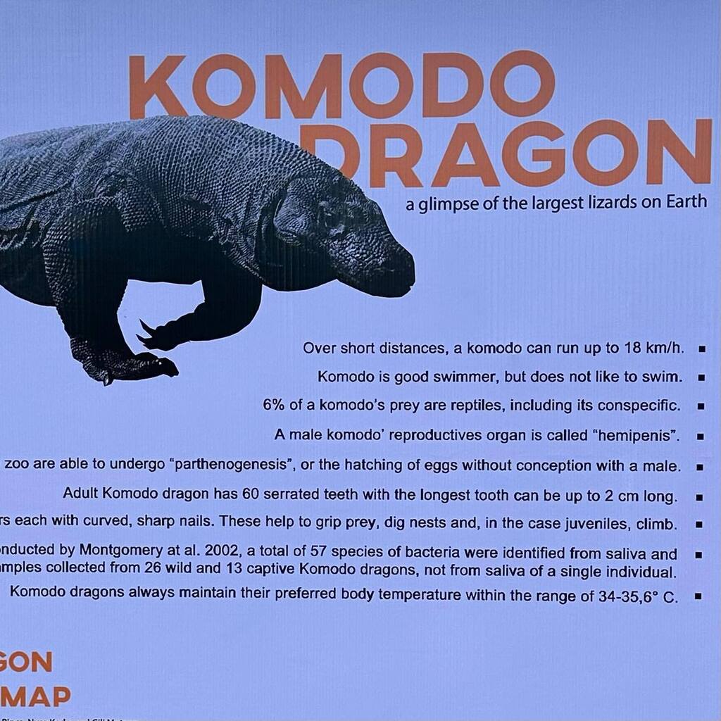 On Tuesday we visited Rinca. It is one of our last stops before we head home! It is a small island near Komodo and Flores Island. And, it is one of the three largest islands included in the Komodo National Park in Indonesia. The island is famous for Komo… instagr.am/p/Cqo1QIWv-Tb/