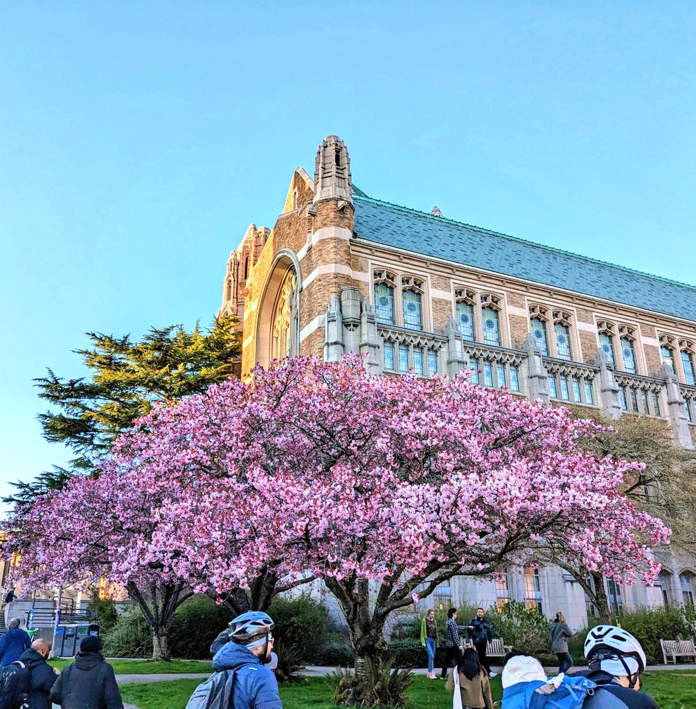 I know some of y'all are making final decisions on where to go to grad school. So I'll just mention that this is UW's campus today.