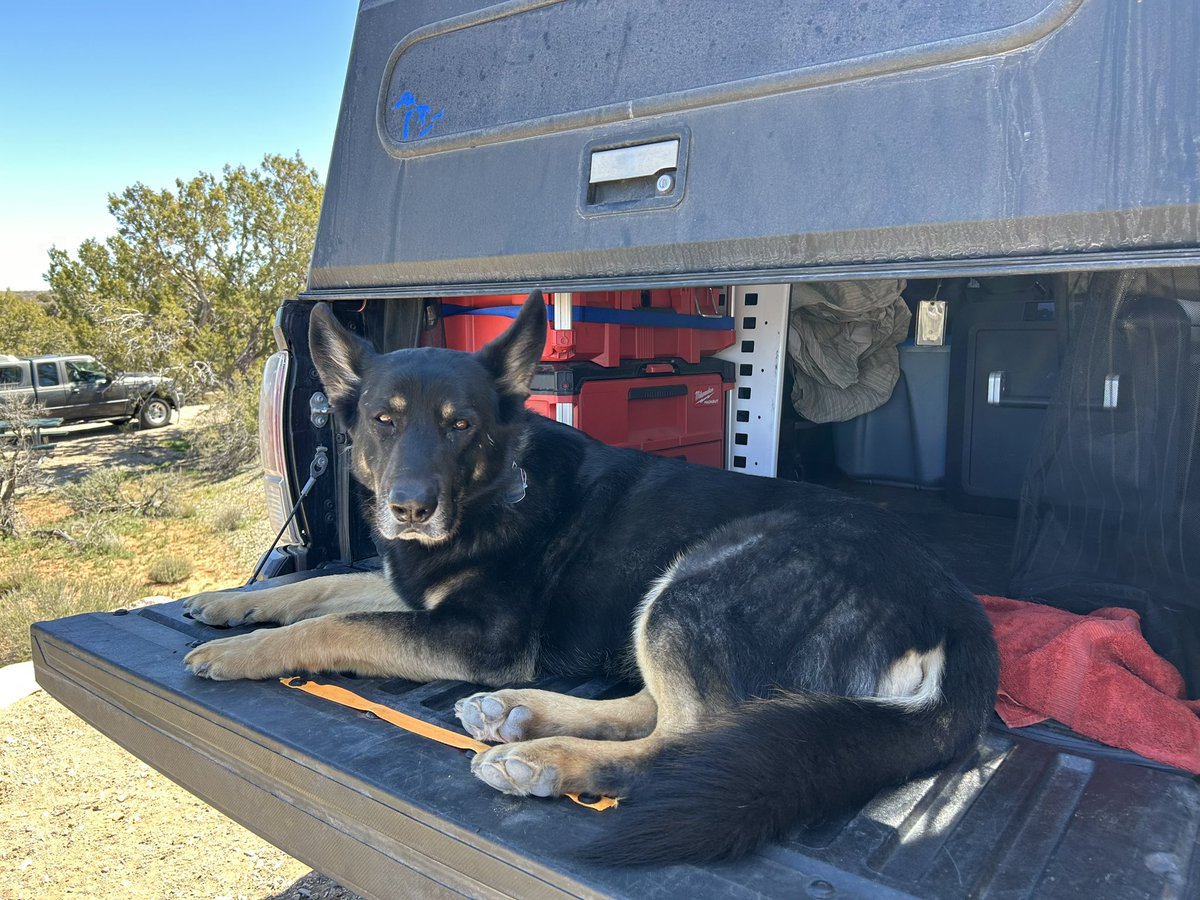 Sandra Svoboda tweet media